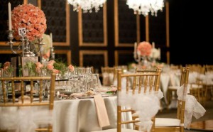 Reception Venue