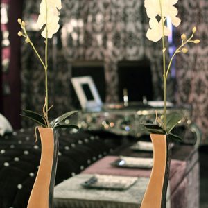 Hollywood Suite